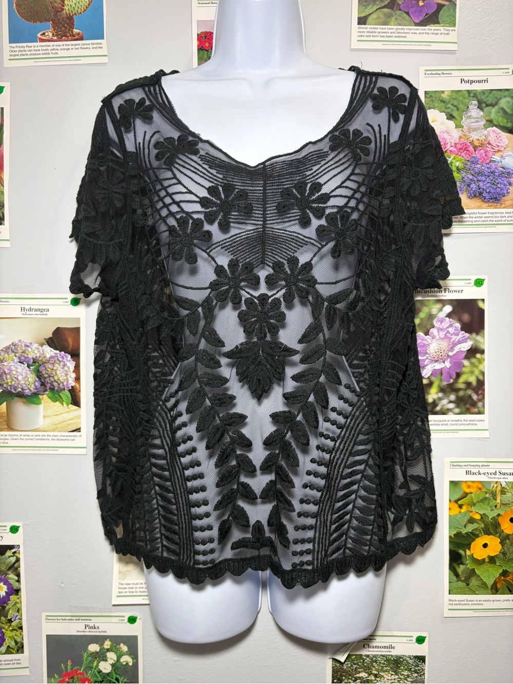 Express Black Sheer Floral Embroidered Blouse